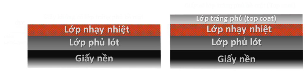 Cấu tạo của Giấy in nhiệt
