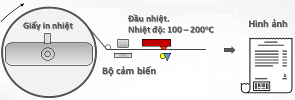 Giấy in nhiệt hoạt động trong máy in