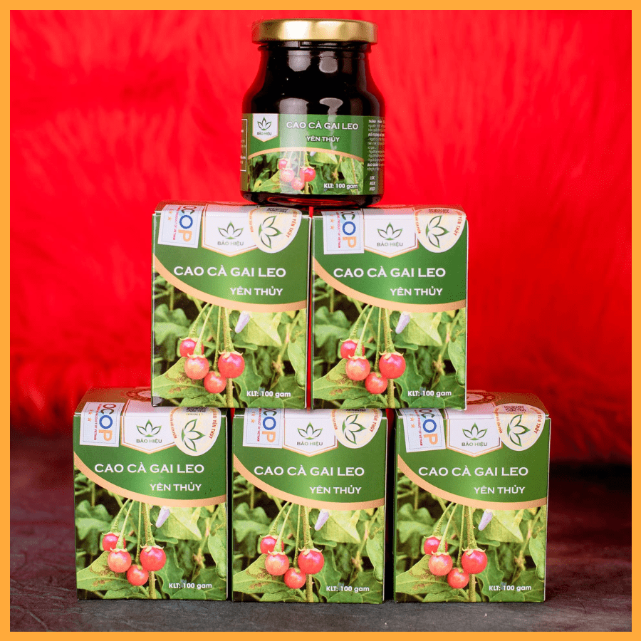 Tem nhãn cao cà gai leo Sơn La