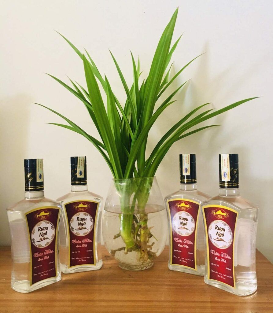 Tem nhãn rượu ngô Hà Giang