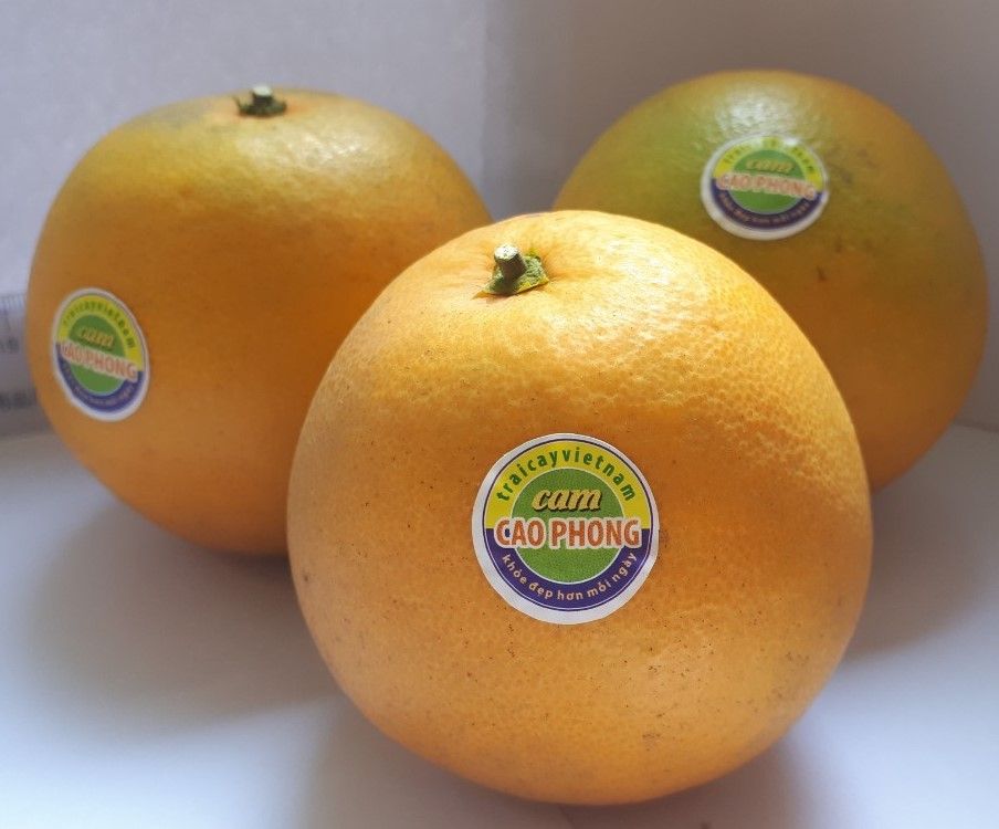 Tem nhãn cam Cao Phong Hòa Bình