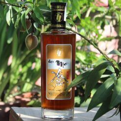 Tem nhãn rượu mơ Yên Tử